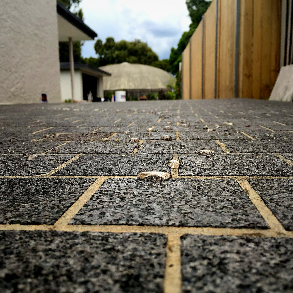 Ashbury Residence — surface cleaning and sealing by CityShine