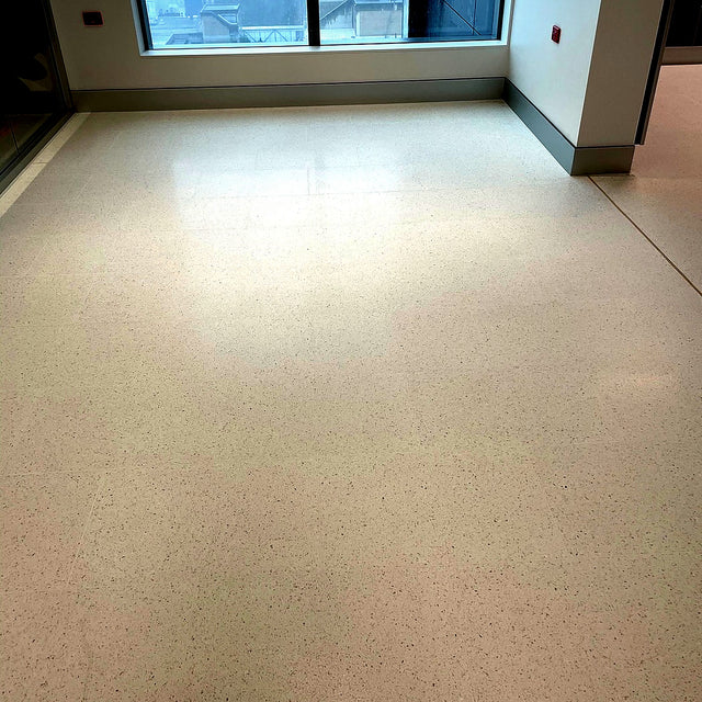 Westmead Hospital — CityShine project photo 3