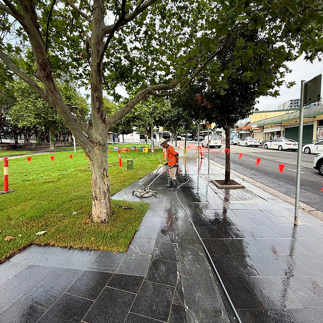 Bankstown Nsw — CityShine project photo 3