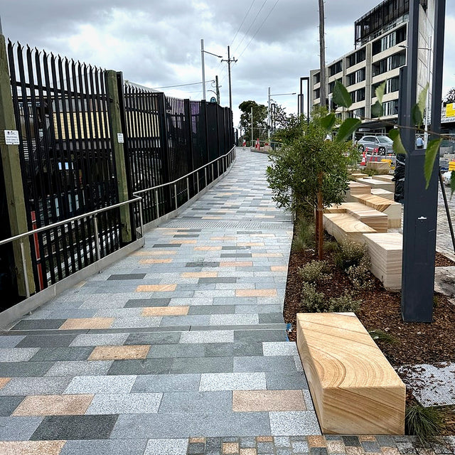 Dulwich Hill Station — CityShine project photo 3