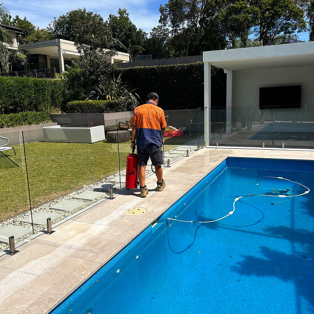 Pool Surround and Pool Wall Cleaning and Sealing, Strathfield - project photo 7