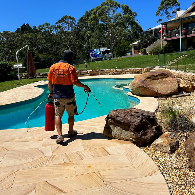 Sandstone Pool Surround Cleaning and Sealing, Terrey Hills - project photo 2