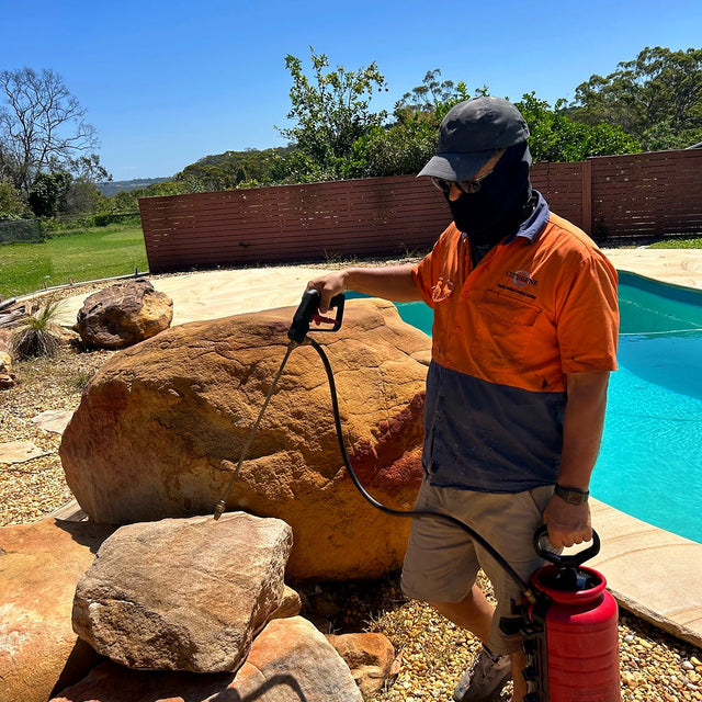 Sandstone Pool Surround Cleaning and Sealing, Terrey Hills - project photo 4