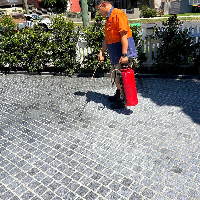 Paver Courtyard and Path Cleaning and Sealing - Croydon Park - project photo 2