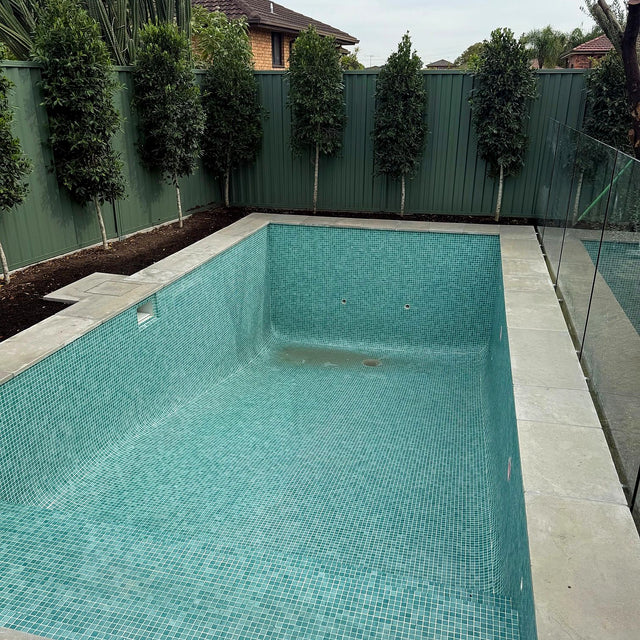 Limestone Pool Surround Cleaning, Sealing and Caulking - Earlwood - project photo 8