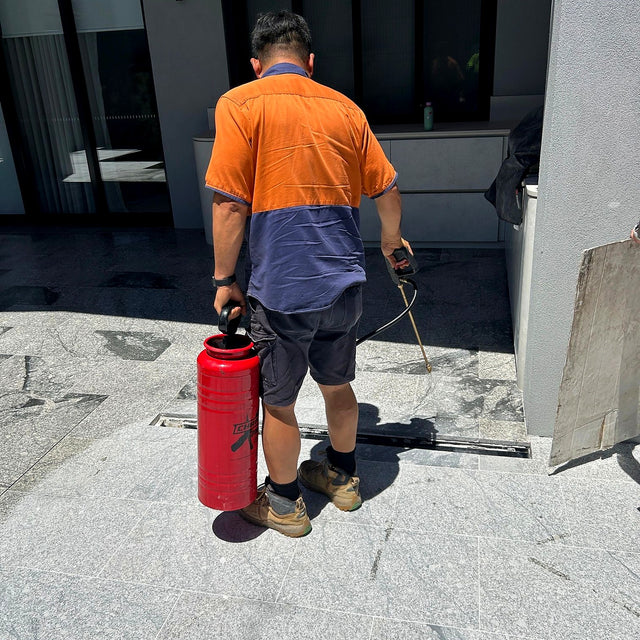 Outdoor Paving Cleaning and Sealing - Drummoyne - project photo 6