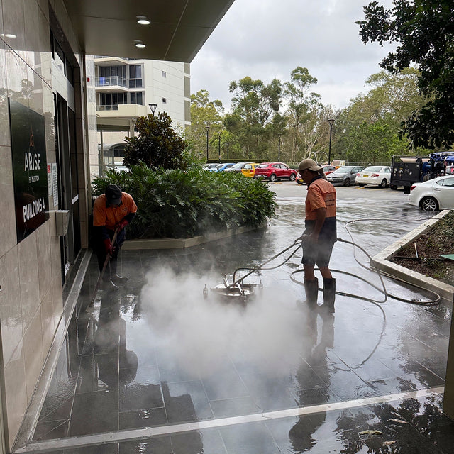 Entry Paving, Stairs and Landings Anti-Slip Resealing - Lane Cove West - project photo 3