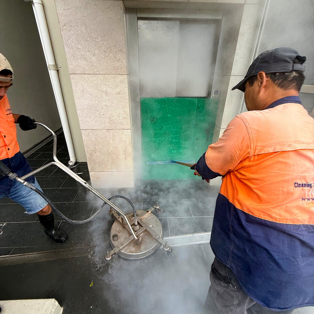 Entry Paving, Stairs and Landings Anti-Slip Resealing - Lane Cove West - project photo 4