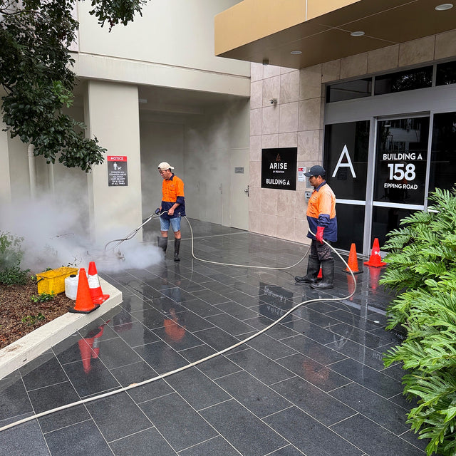 Entry Paving, Stairs and Landings Anti-Slip Resealing - Lane Cove West - project photo 5